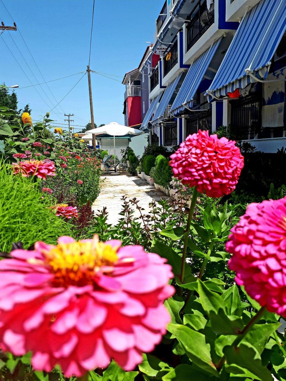 Zante Dahlia Otel Laganas Dış mekan fotoğraf