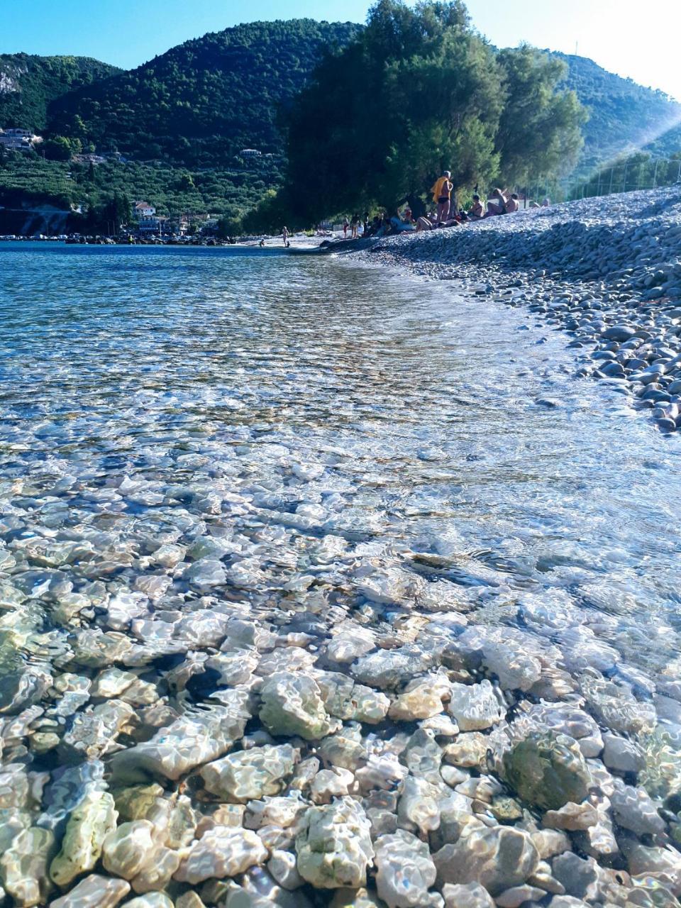 Zante Dahlia Otel Laganas Dış mekan fotoğraf