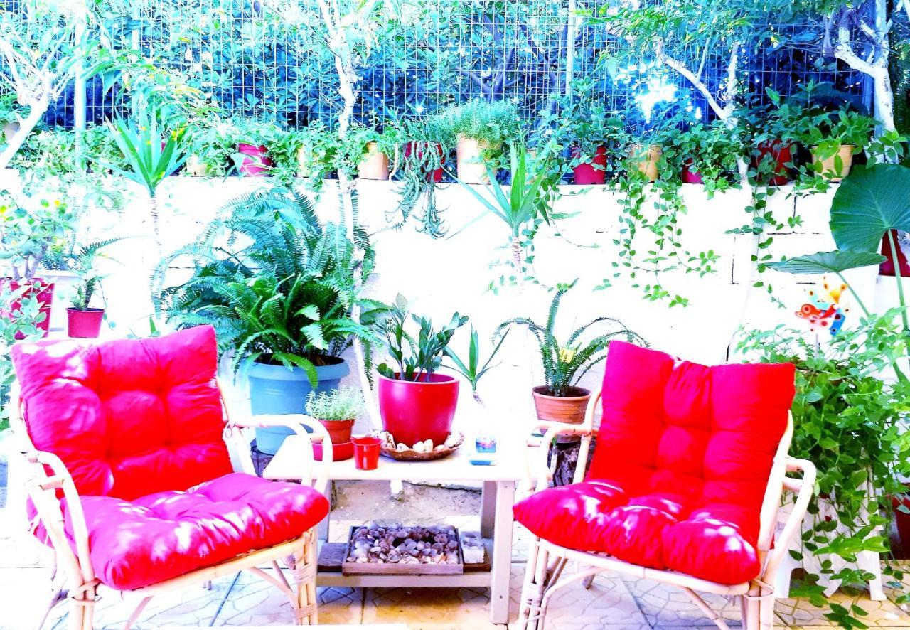 Zante Dahlia Otel Laganas Dış mekan fotoğraf